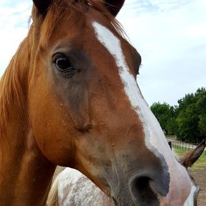 Meet your Posher, Marie